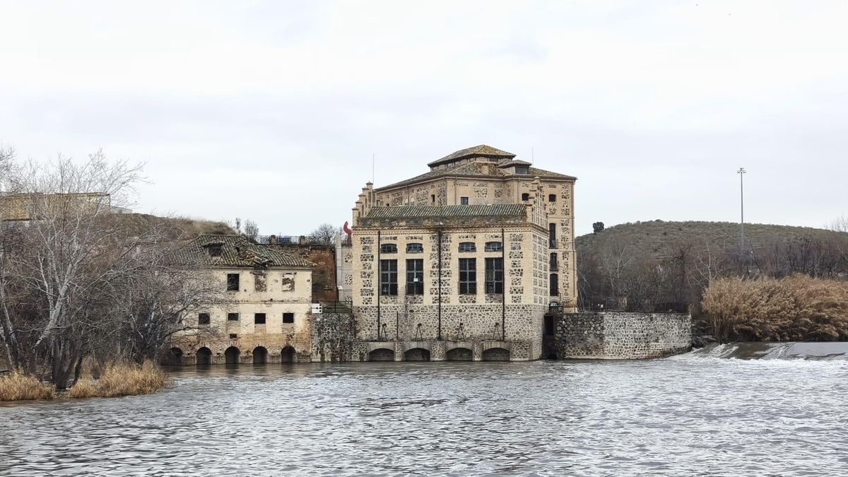 Toledo cierra parques y realiza cortes preventivos ante la previsión de lluvias y viento de 80 kilómetros por hora el jueves