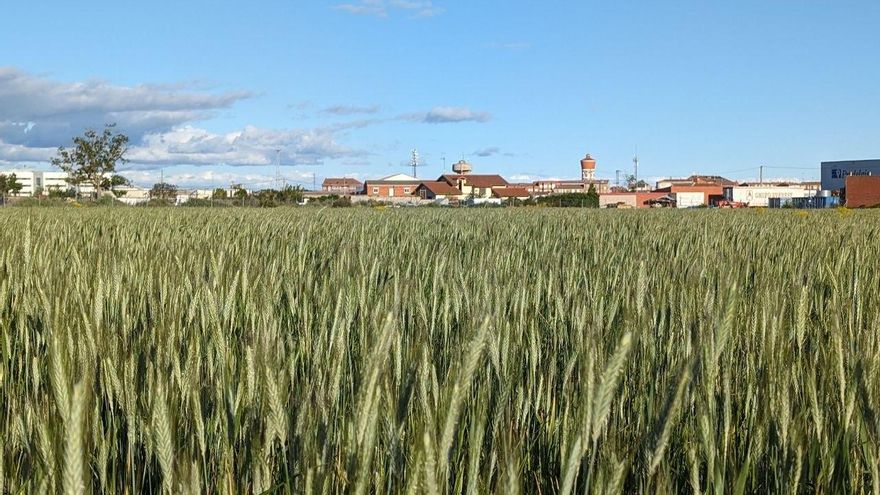 El relevo generacional en el campo leonés suma 158 jóvenes y 43 planes de mejora en lo que va de año
