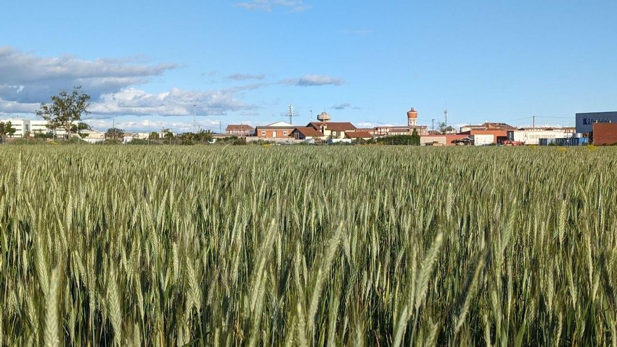 El relevo generacional en el campo leonés suma 158 jóvenes y 43 planes de mejora en lo que va de año