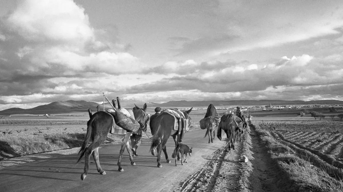 Fotografía en La Mancha de José Suárez