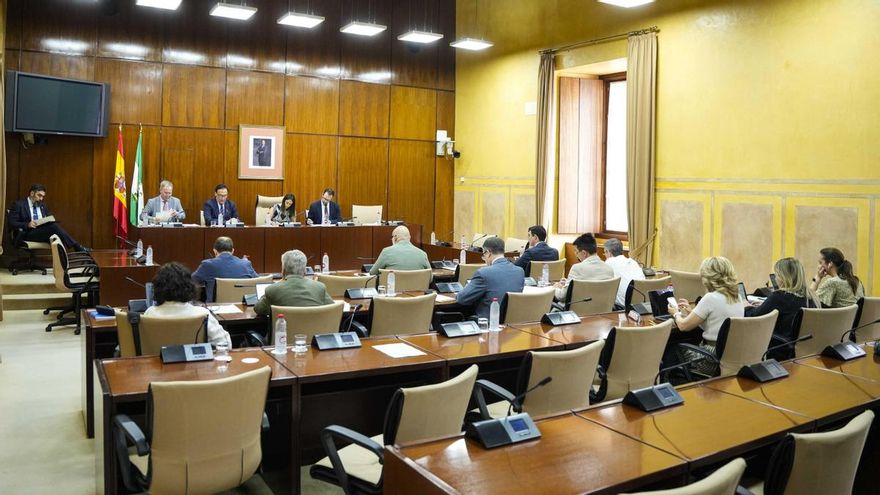 El PSOE andaluz propone endurecer los requisitos para la creación de universidades privadas en la futura ley