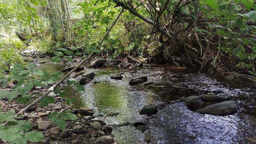 Paisaje del Río Omaña