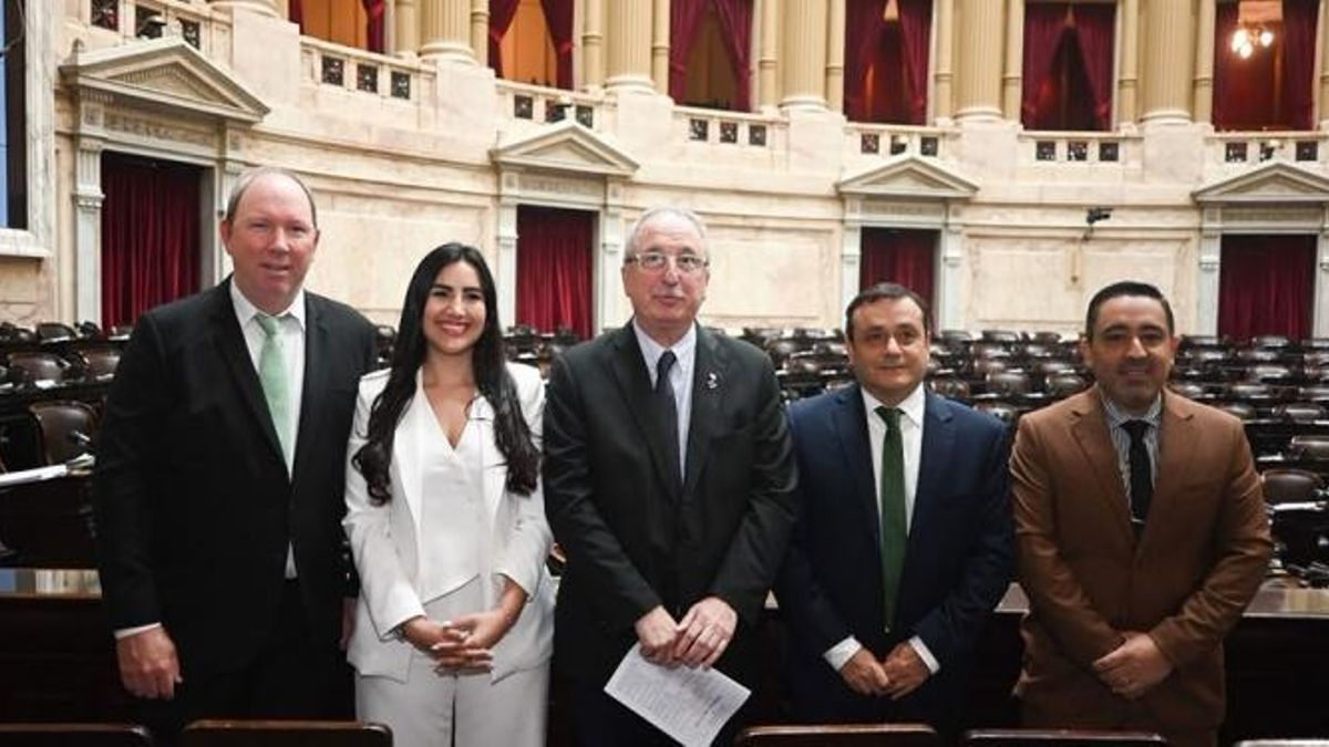 El titular del bloque Argentina Federal será el exgobernador de Misiones Oscar Herrera Ahuad.