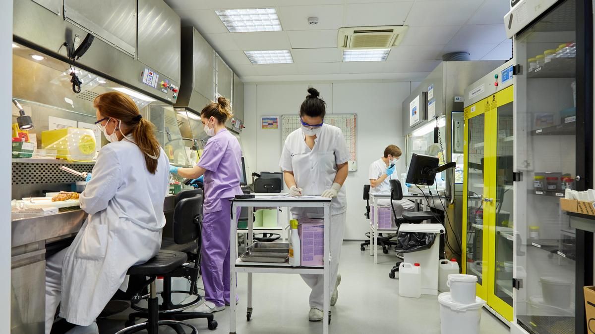 Un total de 17 profesionales de Osakidetza han denunciado acoso sexual desde 2023 y un caso ha acabado en la Fiscalía