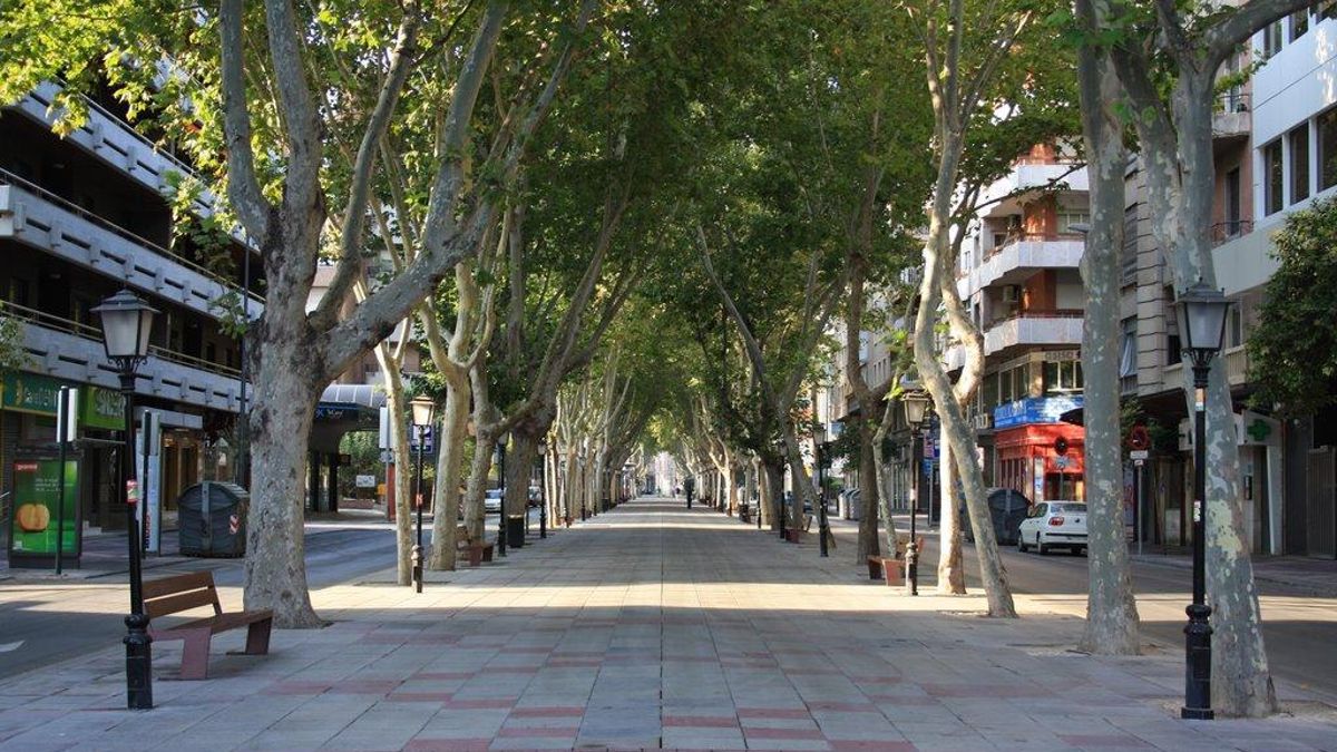 Paseo de Alfonso X el Sabio