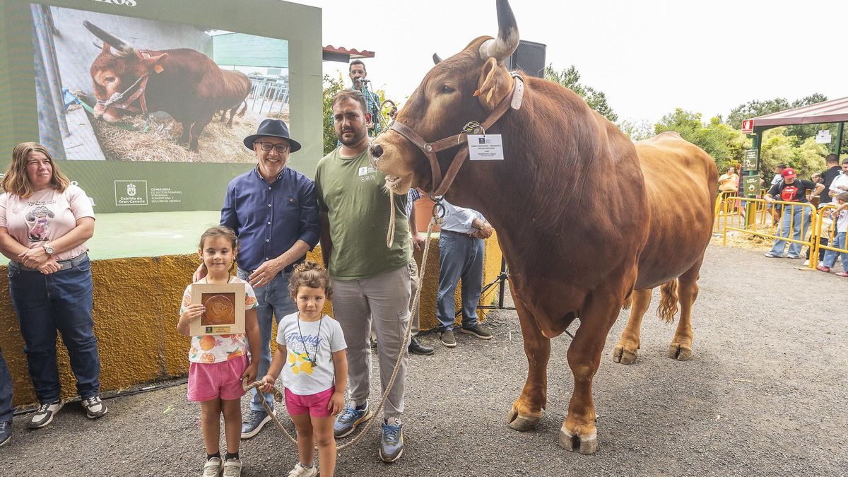 Gran Canaria honra a su campo con una entrega de premios