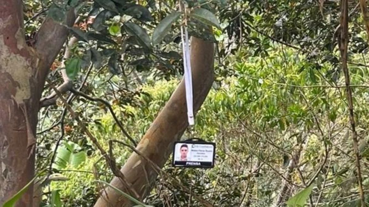 El carné de periodista de Mateo Pérez, colgado de un árbol tras su asesinato cerca de Briceño (Colombia).
