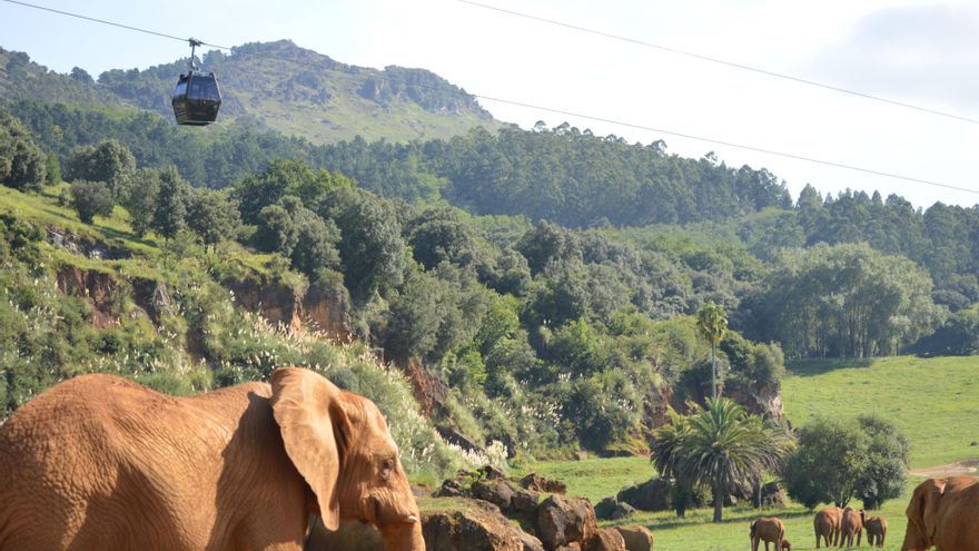 Cabárceno y el Zoo de Santillana del Mar documentarán el comportamiento de los animales durante el eclipse