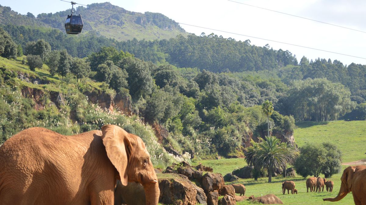 Imagen del Parque de la Naturaleza de Cabarceno.