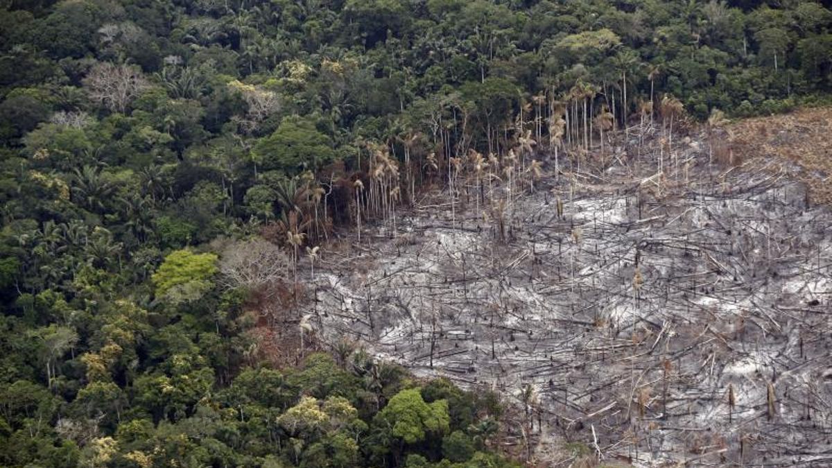 Economía para salvar la biodiversidad