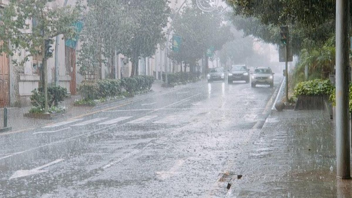 Endesa invierte 1,5 millones para mejorar la resiliencia de la red en Canarias ante fenómenos climáticos extremos este invierno