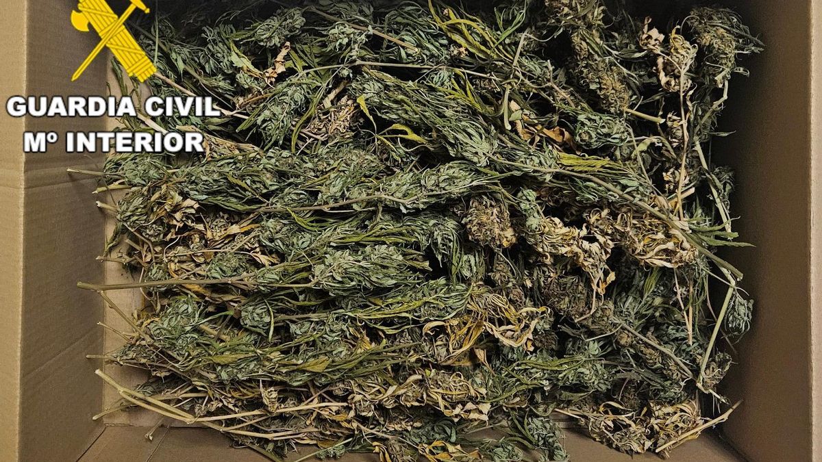 Pillado con medio kilo de marihuana en el coche durante un control en Toral de los Vados