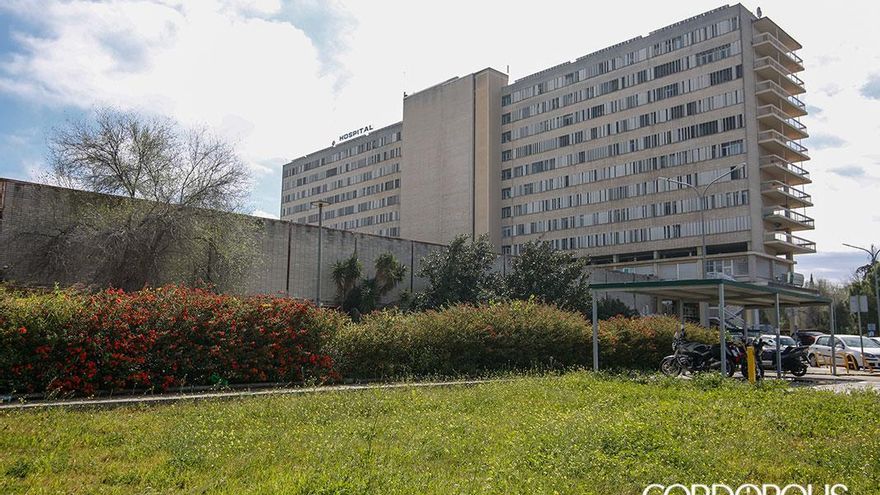 La Junta para las obras en el Hospital Provincial y no las reanudará hasta que concluya el periodo de anidación de vencejos