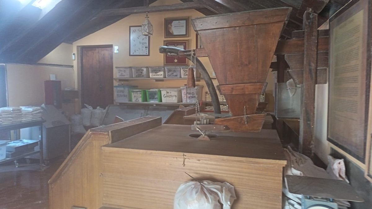 Parte principal del molino, donde una piedra de unos 300 años y otra de unos 120 crean un producto de altísima calidad. Álvaro Morales