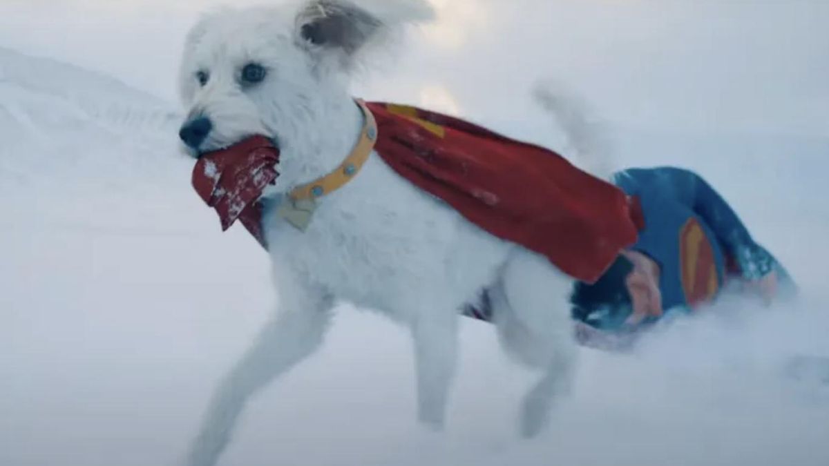 Krypto tiene un papel central en la nueva película