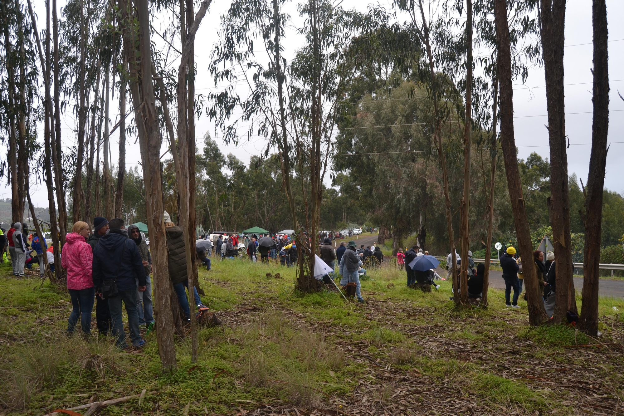 La salida del Rally Islas Canarias en el primer tramo del viernes 11, de Moya a Fontanales. (Iván Alejandro).