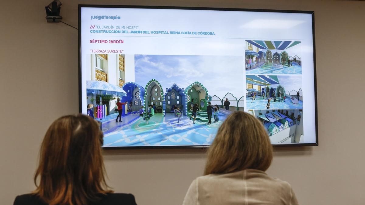 Presentación del proyecto 'El patio de los sueños' en el Hospital Reina Sofía