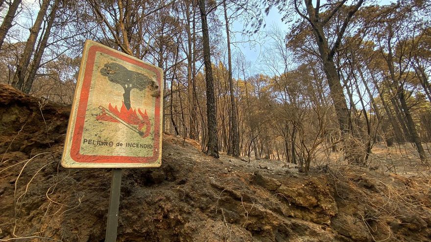 Alerta por riesgos de incendios forestales en las islas occidentales y Gran Canaria