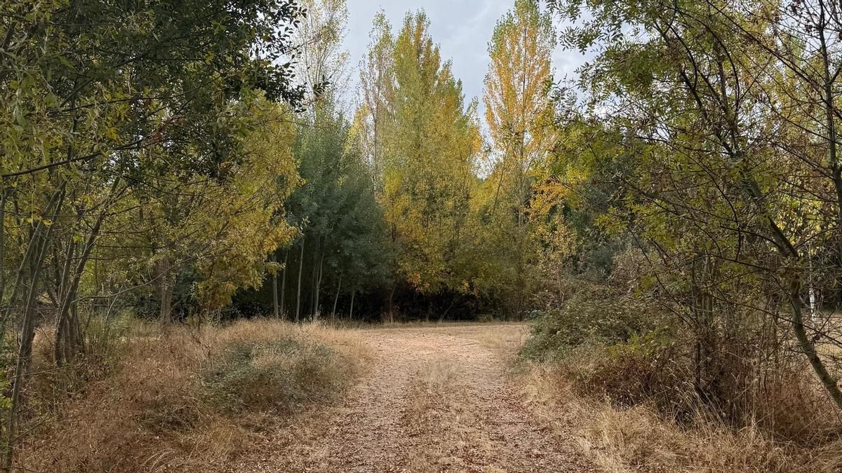 Estallan bombas en mi pecho