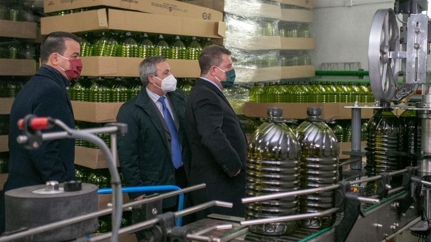 Castilla-La Mancha lidera la producción ecológica en aceite de oliva virgen extra con 76.000 hectáreas de olivar