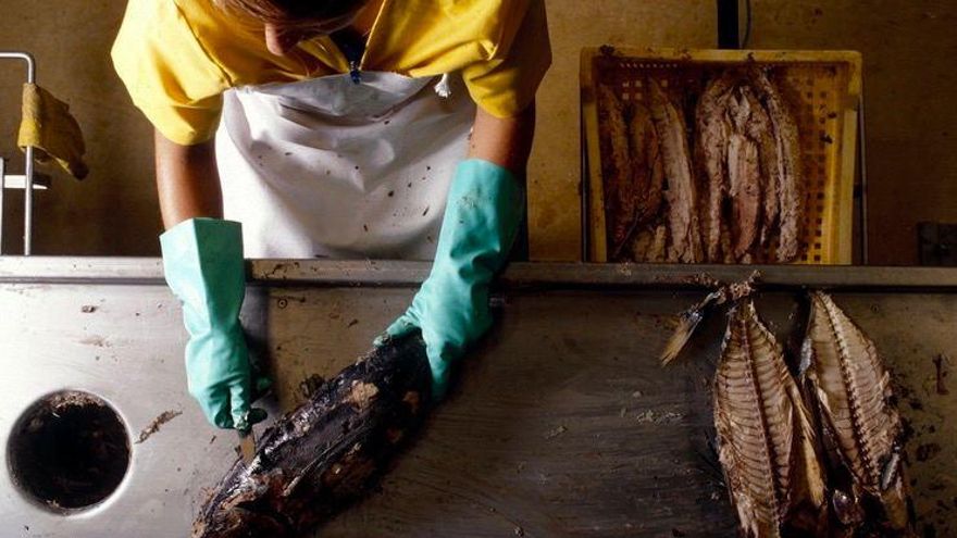 Euskadi blinda por ley el derecho a un trabajo "digno" y ofrecerá a los parados planes personalizados para conseguirlo