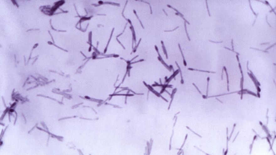 Claves sobre el bótox y el brote de botulismo en pacientes europeos de una clínica estética turca