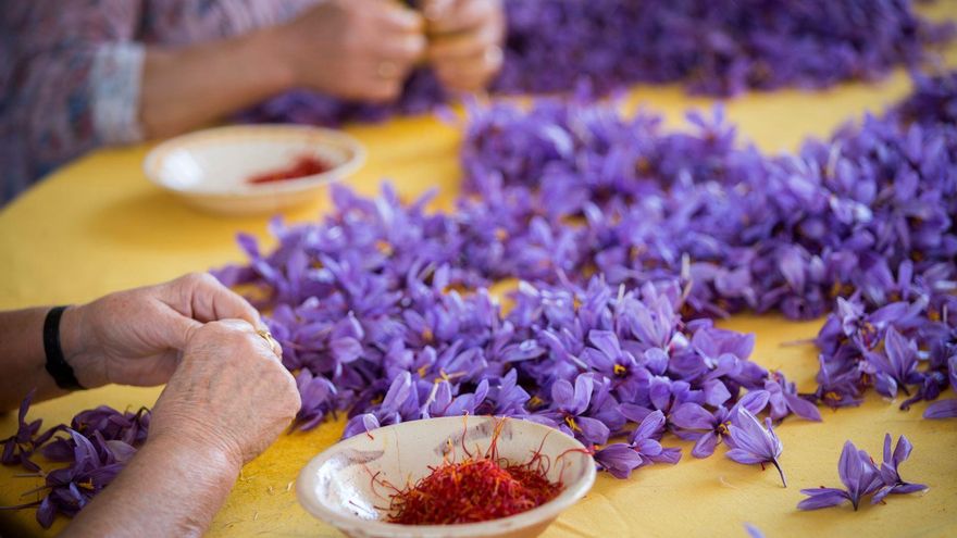 El Consejo Regulador de la Denominación Azafrán de La Mancha está trabajando para evitar la venta fraudulenta de la especia