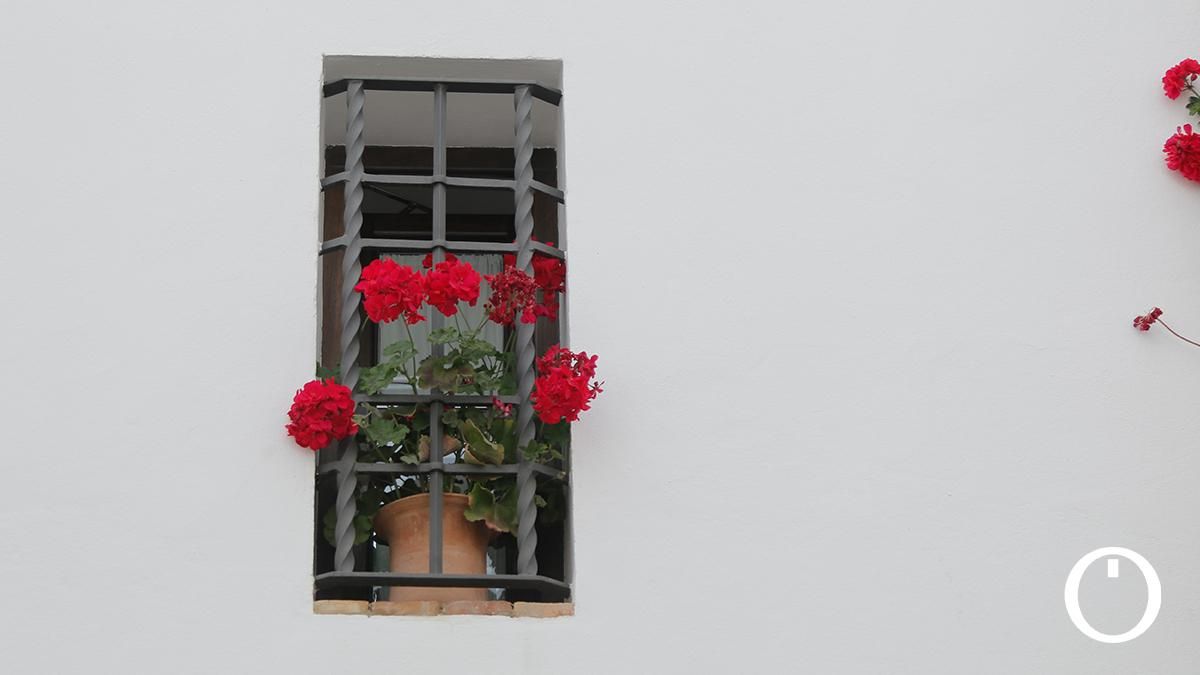 Rejas y Balcones en la C/ San Basilio, 20