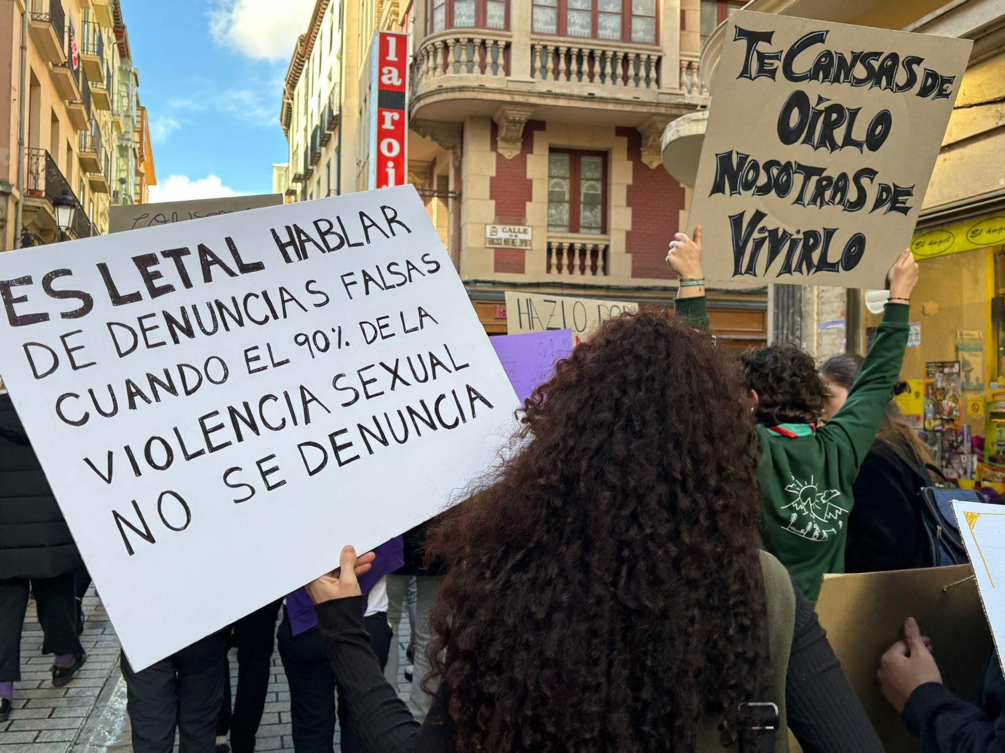 La manifestación de 8M en Logroño, en imágenes