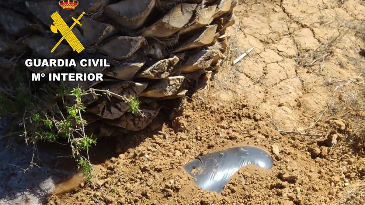 El Seprona tuvo conocimiento el pasado 8 de abril del hallazgo del cadáver semienterrado en una bolsa de un perro en avanzado estado de descomposición en plena vía pública e Fuerteventura.