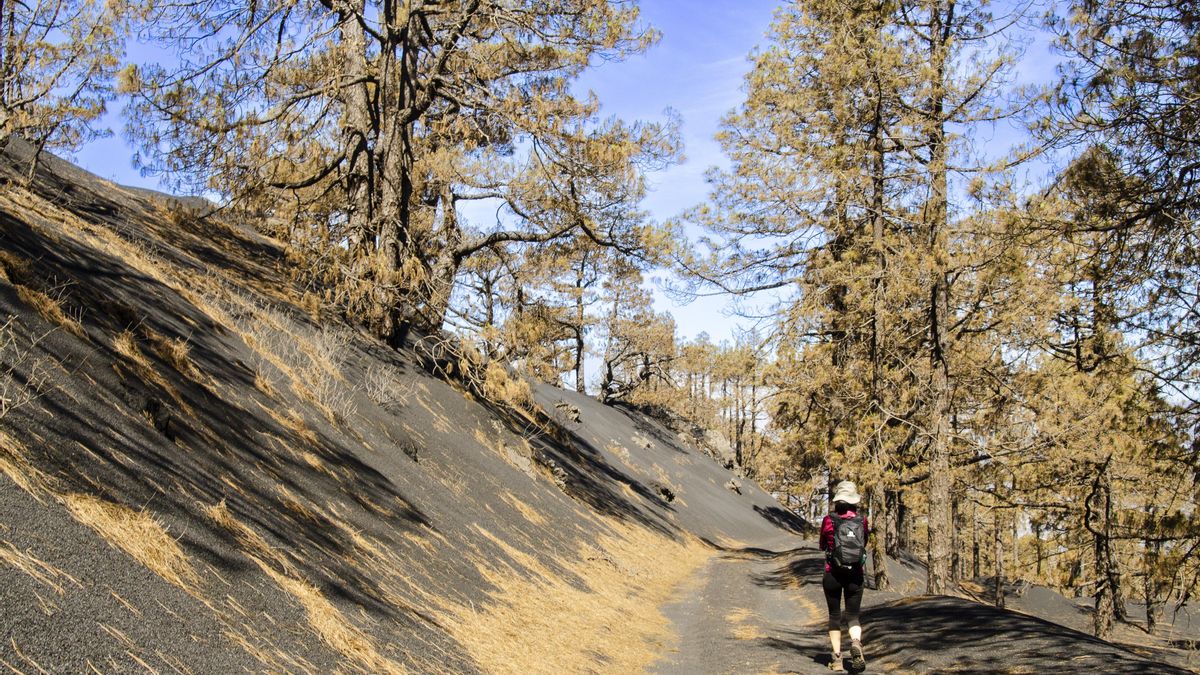 Imagen der archivo de una senderista  en  el entorno del volcán Tajogaite.