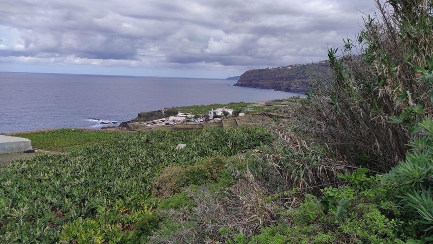 Ecologistas aplauden el cierre de los aparcamientos privados de la playa de El Bollullo y denuncian el “grave deterioro” de la zona desde 2017