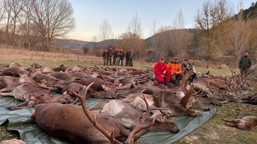 El nuevo programa de capturas en Monfragüe prevé eliminar 1.063 ciervos y jabalíes en un año