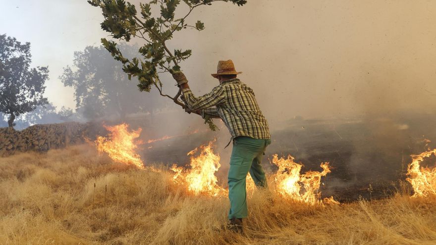 Complicada situación de los incendios en Castilla y León: once fuegos de gravedad en León, Zamora, Salamanca y Ávila