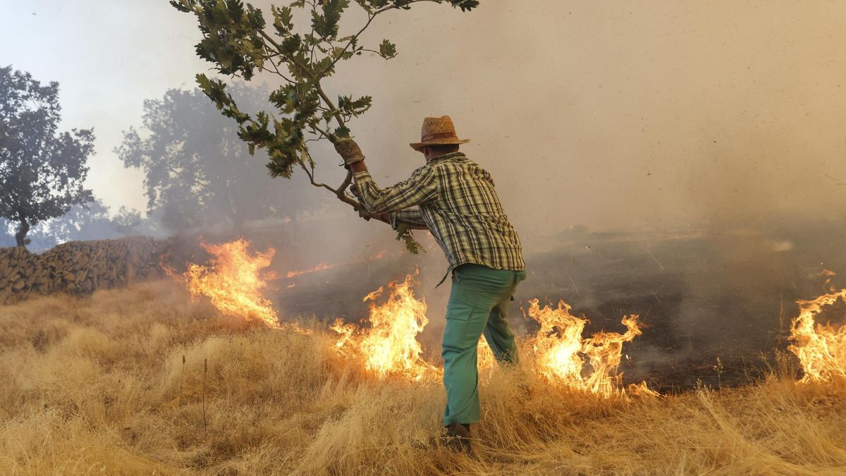 Complicada situación de los incendios en Castilla y León: once fuegos de gravedad en León, Zamora, Salamanca y Ávila