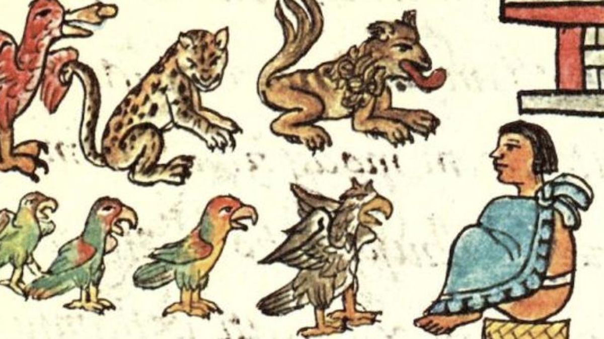 Los restos hallados junto al Huei Teocalli confirman que el zoológico de Moctezuma existió de verdad