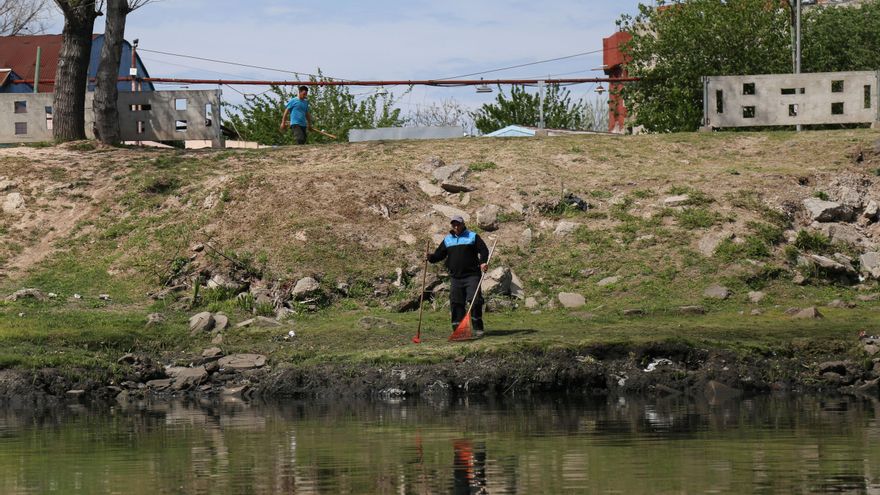 ¿Tortugas acuáticas y navegación turística en el Riachuelo? Los avances y deudas a 15 años de un fallo histórico