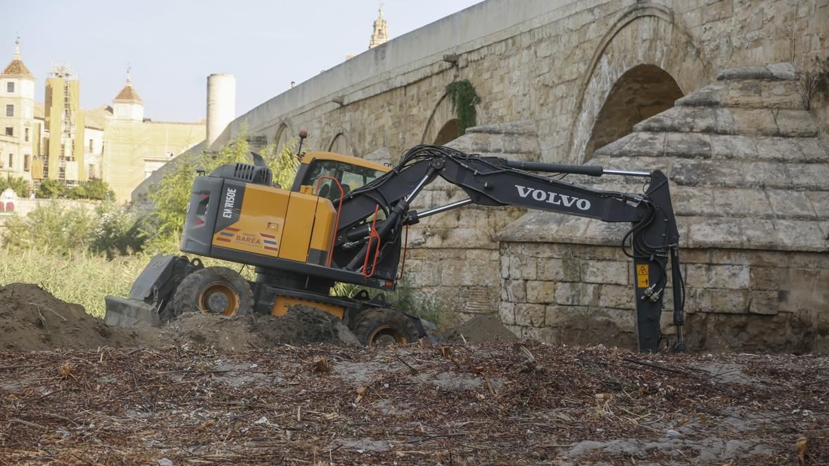 Obras bajo el puente romano