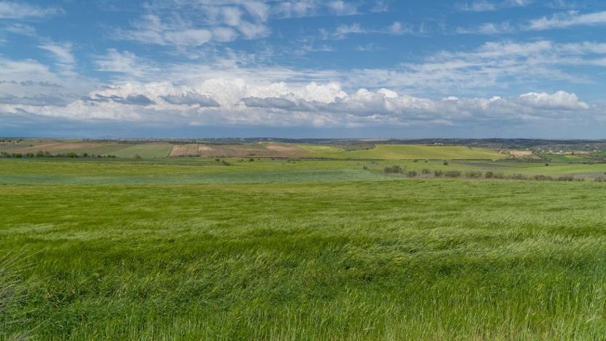 El Viso de San Juan (Toledo)