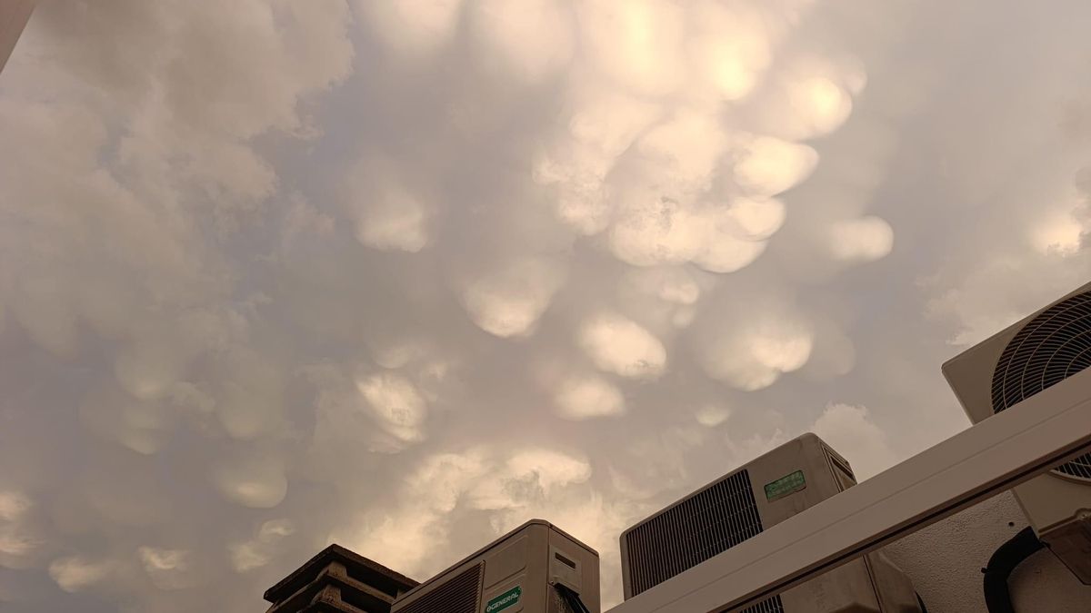 Sin incidencias y con poca lluvia tras un aviso amarillo que desató la histeria en Córdoba