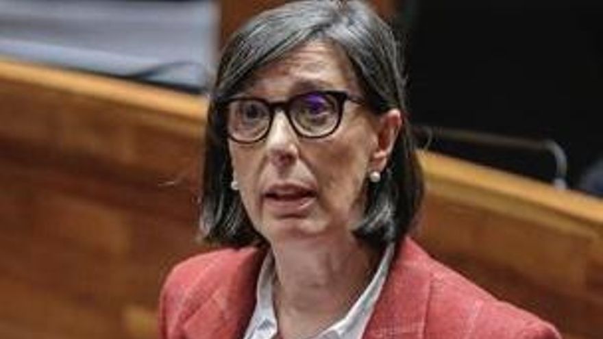 La consejera de Transición Ecológica apuesta por las renovables como aliadas de la electrointensiva asturiana