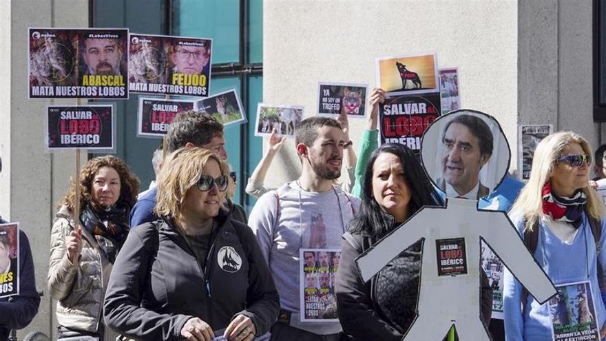 Pacma insta a la Junta a no sucumbir “ante los ganaderos” y evitar el “exterminio” del lobo