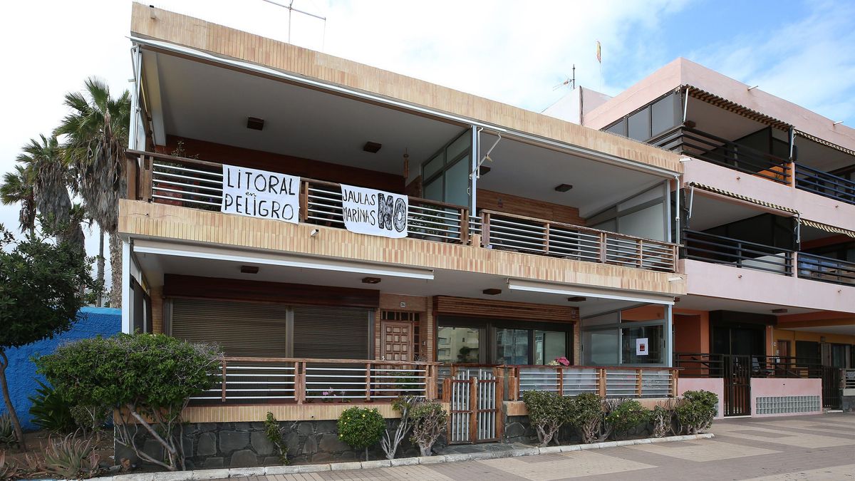 Paseo Marítimo de Salinetas, en Telde, con carteles que dicen 'Litoral en peligro' y 'Jaulas marinas no'