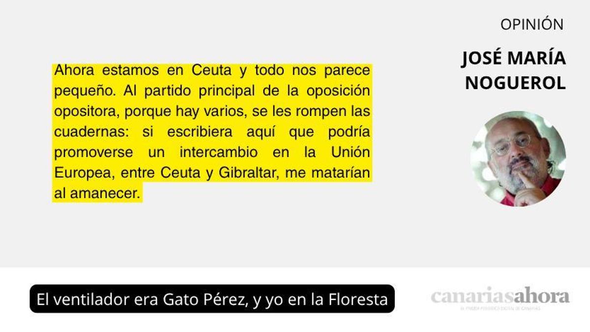El ventilador era Gato Pérez, y yo en la Floresta