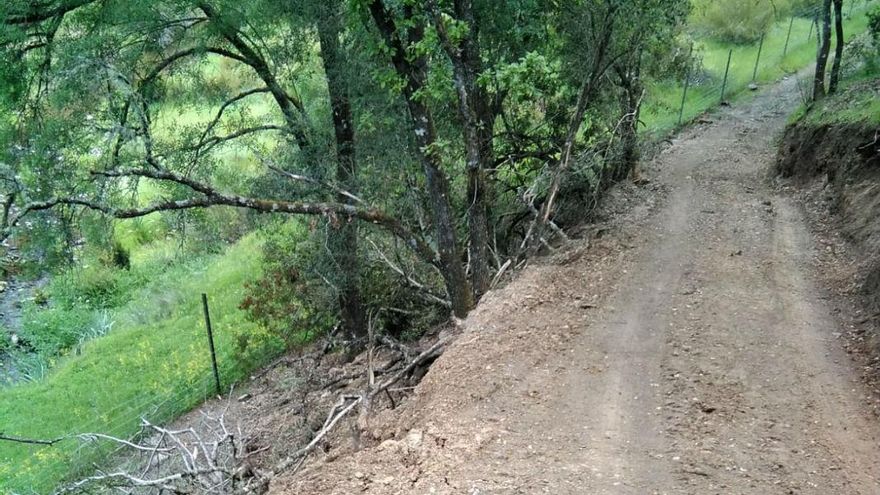 Pista forestal abierta en el corazón del parque natural de Hornachuelos | ECOLOGISTAS EN ACCIÓN