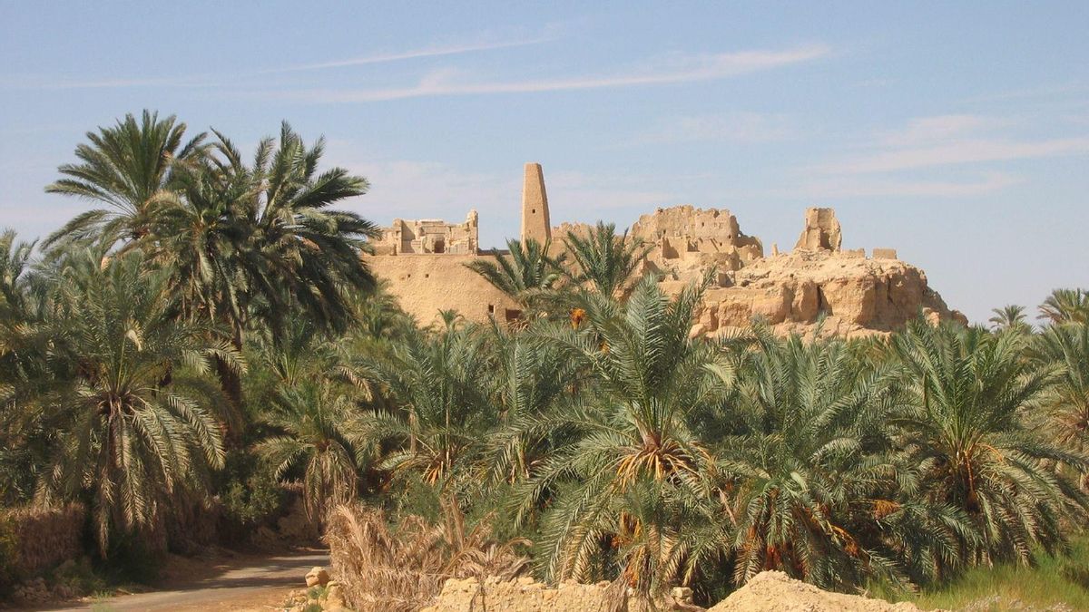 Las ruinas del famoso Oráculo de Amón asoman tras las palmeras del oasis de Siwa.