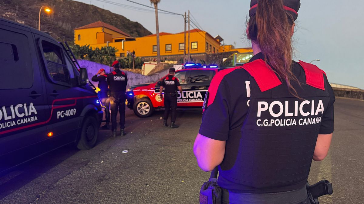La Policía Canaria reduce a un hombre que atacó con un hacha a una ambulancia en Gran Canaria