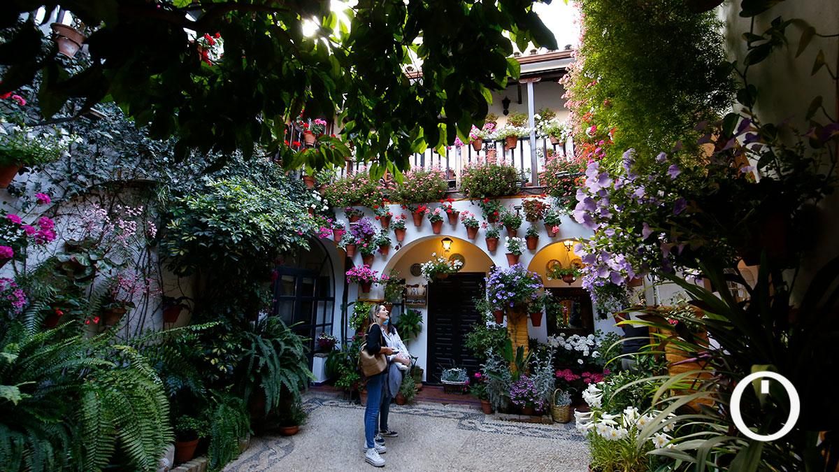 Patio Ocaña,19 - 2022