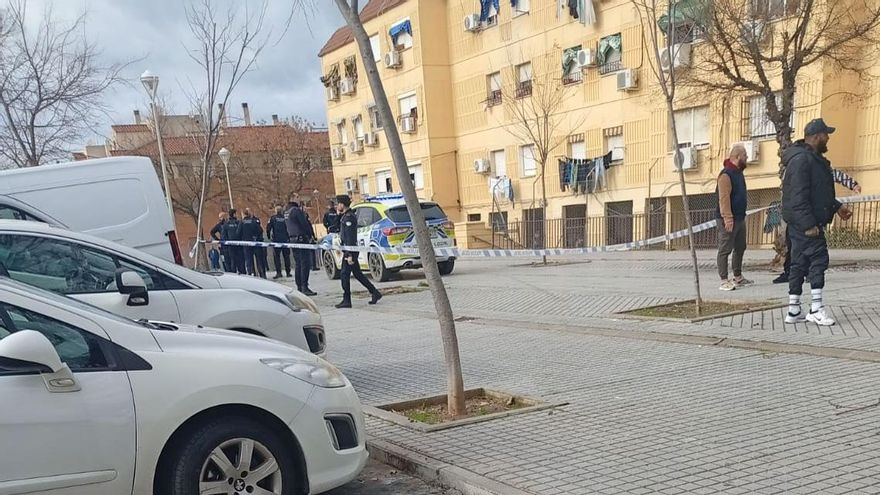 Seis detenidos tras un apuñalamiento mortal en el Sector Sur