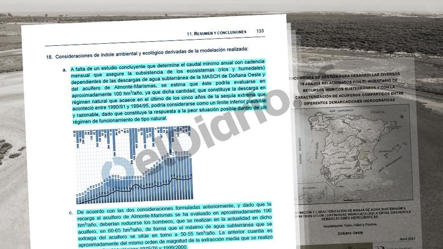 Doñana solo podrá salvarse si se reduce a la mitad el agua que se extrae para regadío